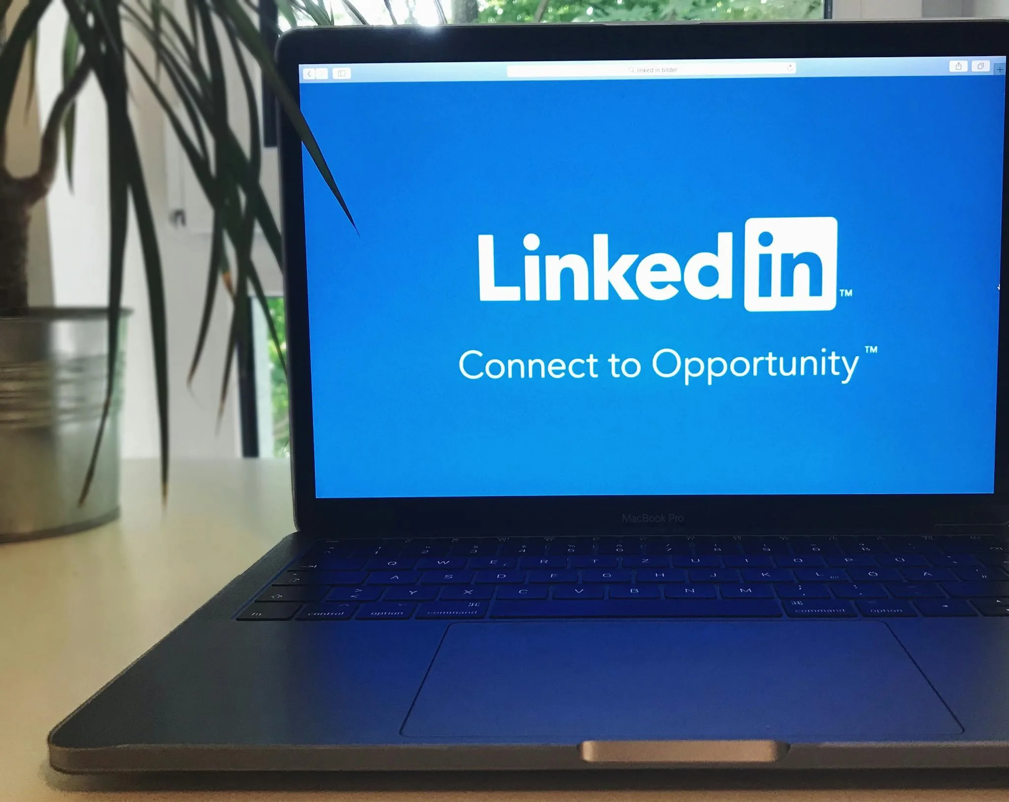 Bee Digital Marketing Agency A laptop screen displaying the LinkedIn logo with the text 'Connect to Opportunity'.