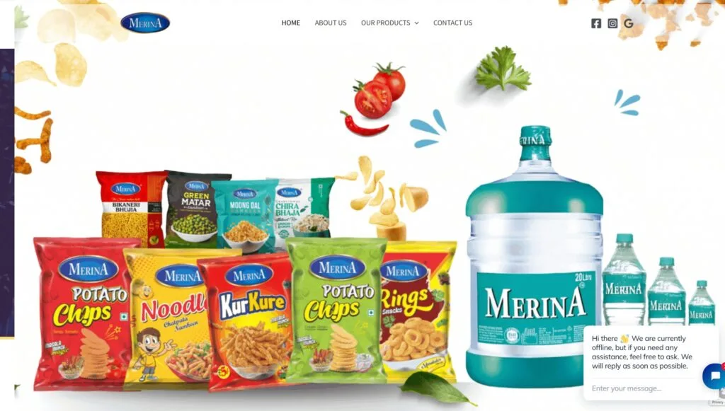 Website Design and Development Services