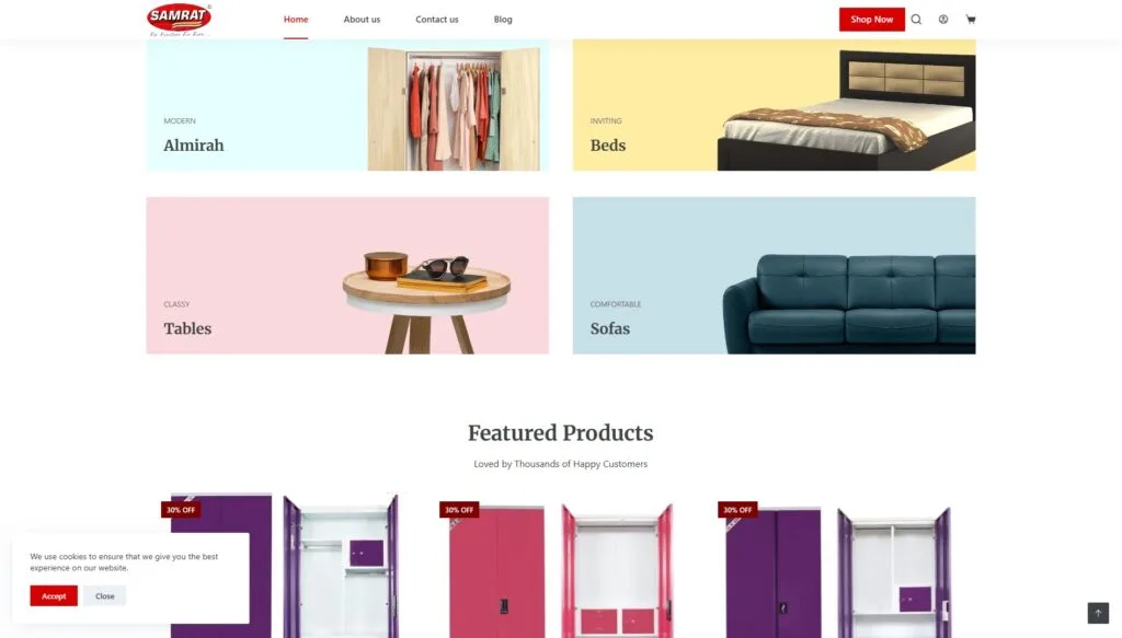 Website Design and Development Services